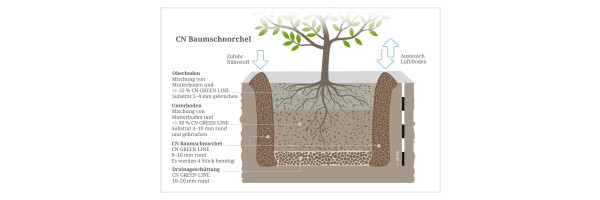 Baumschnorchel / Blähton