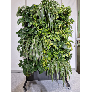 PlantaNova Smart Divider 80 schwarz, beidseitig mit 60x PlantaNova bestückt
