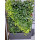 PlantaNova Smart Wall 120x40/160 beidseitig mit 84x PlantaNova bestückt.