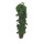 Philodendron Scandens am Gitterrohr 150 28/19 - LV-8